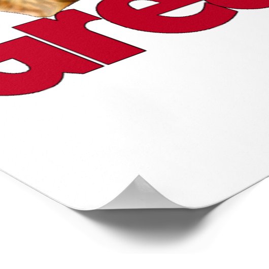 Great Dane Laid Back Brindle Poster (Hoek)