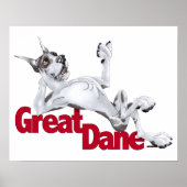 Great Dane Laid Back Harlequin Poster (Voorkant)
