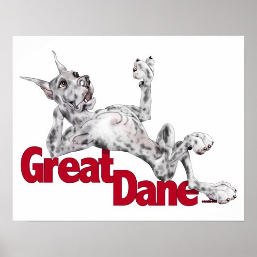 Great Dane Laid Back Merle Poster (Voorkant)