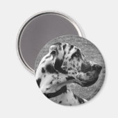 GREAT DANE MAGNEET (Voorkant / Achterkant)