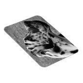 GREAT DANE MAGNEET (Rechterzijde)