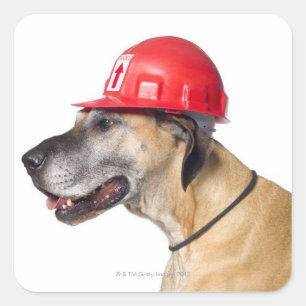 Great Dane met een rode bouwhelm Vierkante Sticker