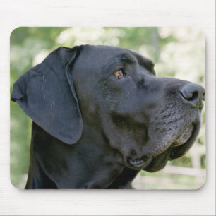 Great Dane Mousepad Muismat