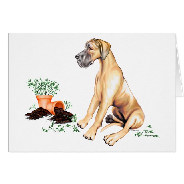 Great Dane Naughty Pup Fawn UC (Voorkant Horizontaal)