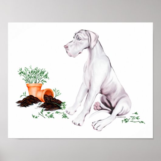 Great Dane Naughty Pup White UC Poster (Voorkant)