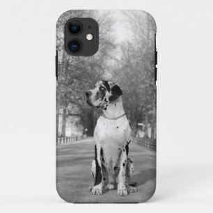 Great Dane Persoonlijke Fotografie Case