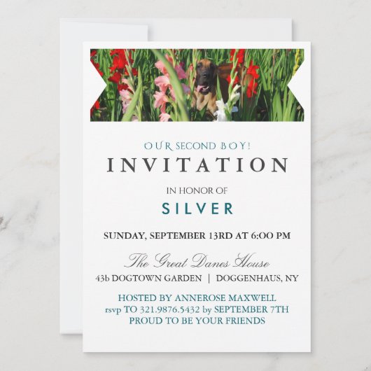Great Dane Photo invitation  (Dos)
