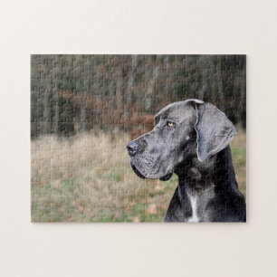 Great Dane Portret Legpuzzel