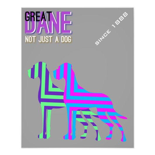 Great Dane Poster (Voorkant)