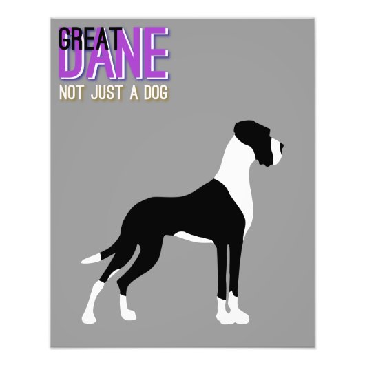Great Dane Poster (Voorkant)