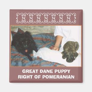 GREAT DANE PUPPY MAGNEET