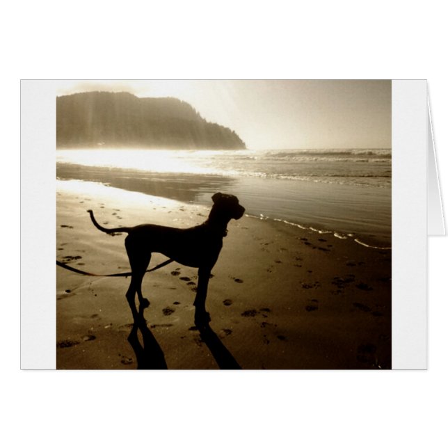 Great Dane Puppy Sunset (Voorkant Horizontaal)