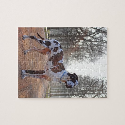 Great Dane Puzzle (Horizontal)