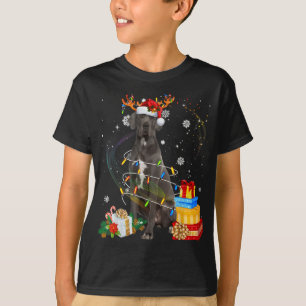 Great Dane Reindeer kerstlampjes Funny Dog Xma T-shirt