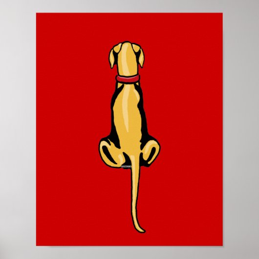 Great Dane Sit Fawn UC Poster (Voorkant)