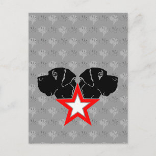 Great Dane Star Hoofd Briefkaart