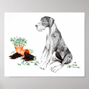 Great Dane Stoute Pup MerleB UC Poster