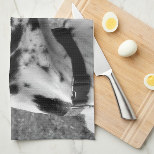 GREAT DANE THEEDOEK (Quarter Fold)