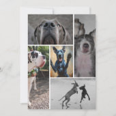 Great Dane Uitnodiging (Voorkant)