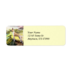 Great Dane Valley of Zeus Labels
