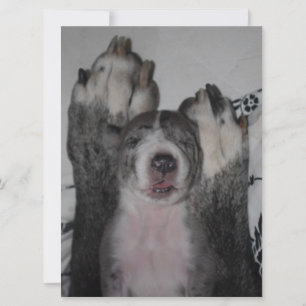 Great Dane verjaardagsuitnodiging Kaart
