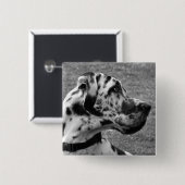 GREAT DANE VIERKANTE BUTTON 5,1 CM (Voorkant /achterkant)