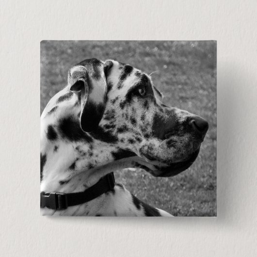 GREAT DANE VIERKANTE BUTTON 5,1 CM (Voorkant)