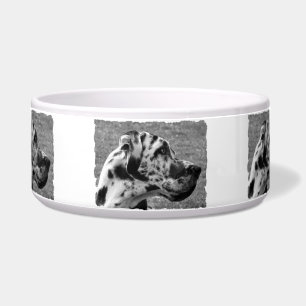 GREAT DANE VOERBAKJE