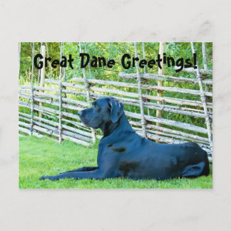 Great DaneGreetingsPostcard Briefkaart