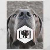 Great Danes Breeder Flyer (Voorkant)