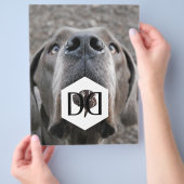 Great Danes Breeder Flyer (Hand)