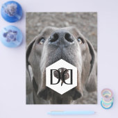 Great Danes Breeder Flyer (Enkel)