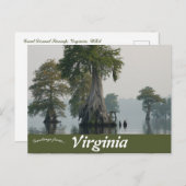 Great Dismal Swamp Virginia Briefkaart (Voorkant / Achterkant)