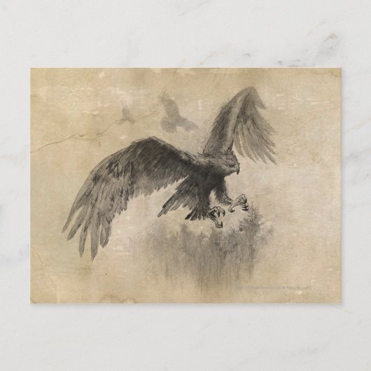 Great Eagles Sketch Briefkaart (Voorkant)