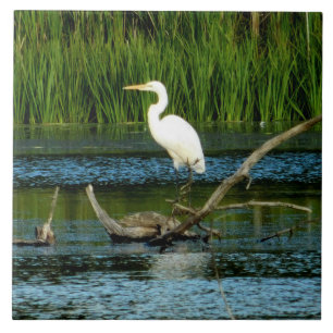 Great Egret decoratieve Tegel Tegeltje