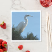 Great Egret in Sunny Florida Servet (Insitu)
