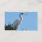 Great Egret in Sunny Florida Visitekaartje (Achterkant)