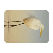 Great Egret Walking Magnet Magneet (Horizontaal)