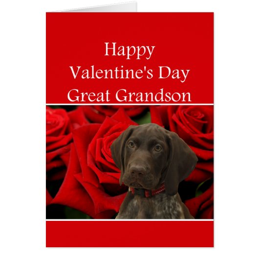 Great Grand-fils Glossy Grizzly Valentine Puppy Lo (Devant)