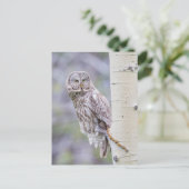 Great Grey Aspen Tree Branch Briefkaart (Staand voorkant)