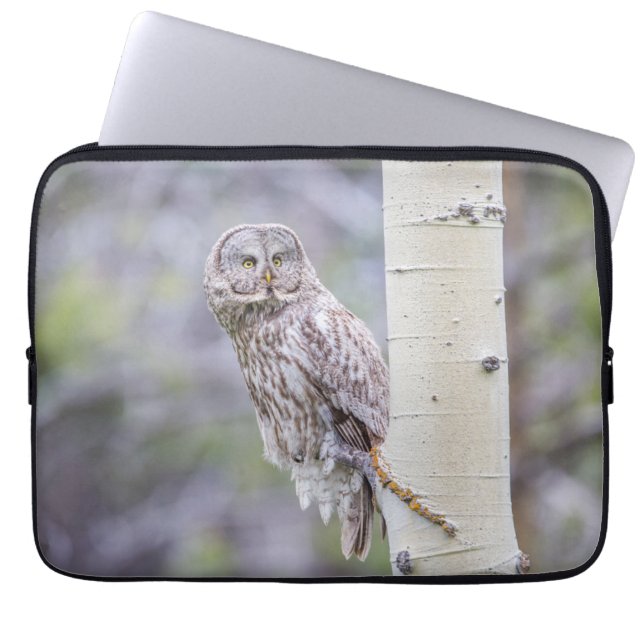 Great Grey Aspen Tree Branch Laptop Sleeve (Voorkant)
