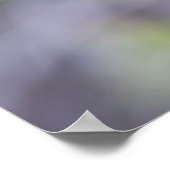 Great Grey Aspen Tree Branch Poster (Hoek)