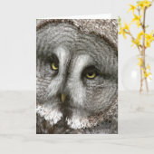 Great Grey Owl Wenskaart Kaart (Gele Bloem)