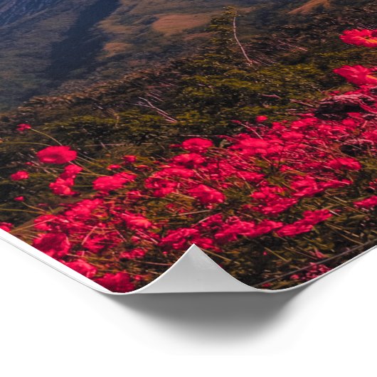 Great heights demand a deeper will. Inspiration Poster (Hoek)