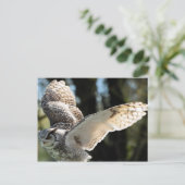 Great Horn Owl Flying 3 Briefkaart (Staand voorkant)