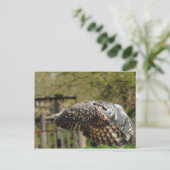 Great Horn Owl Flying Briefkaart (Staand voorkant)