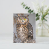 Great Horned Owl (Bubo virginianus) Briefkaart (Staand voorkant)