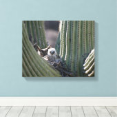 Great Horned Owl Chick Canvas Afdruk (Insitu (Houten vloer))