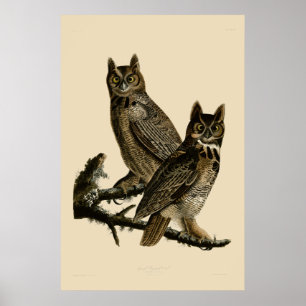 Great Horned Owl door John James Audubon Poster