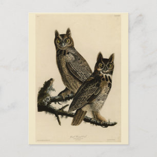 Great Horned Owl from Audubon's Birds of America Briefkaart